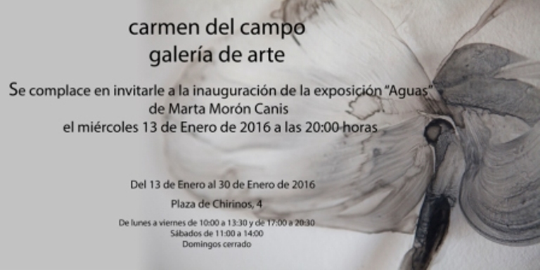 Marta Morón en la Galería Carmen del Campo