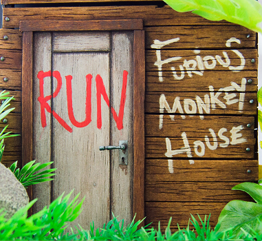 Furious Monkey House, concierto en A Coruña