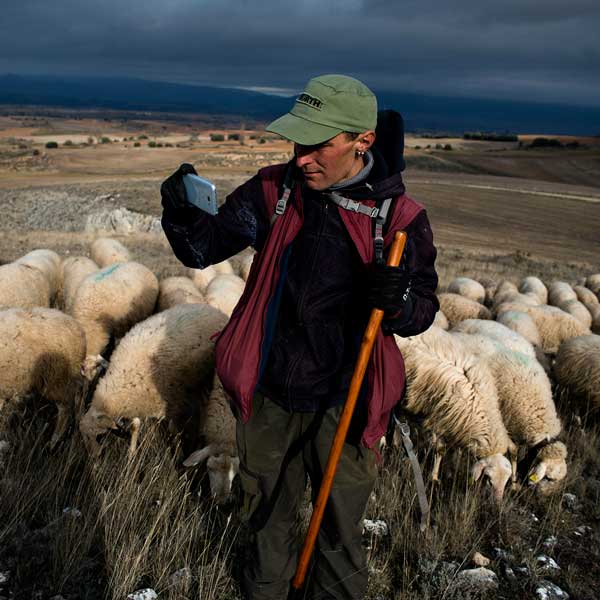 José Manuel Navia. Alma tierra en Fundación Antonio Pérez en Cuenca