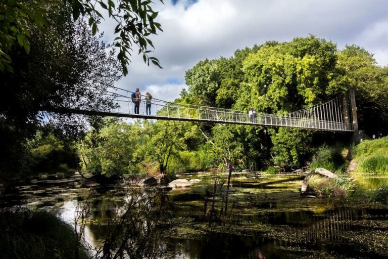 Los Puentes Colgantes Más Espectaculares De Galicia