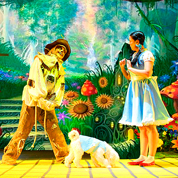 El Maravilloso Mago de Oz (Silvia Villaú) en Teatro José María Rodero en Madrid