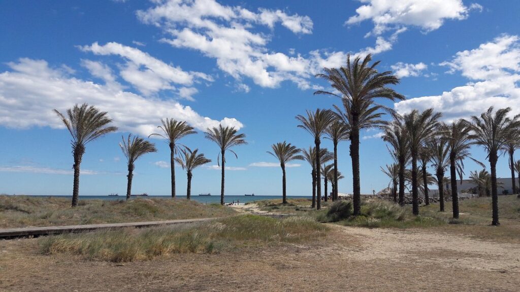 La playa El Pinar castellon