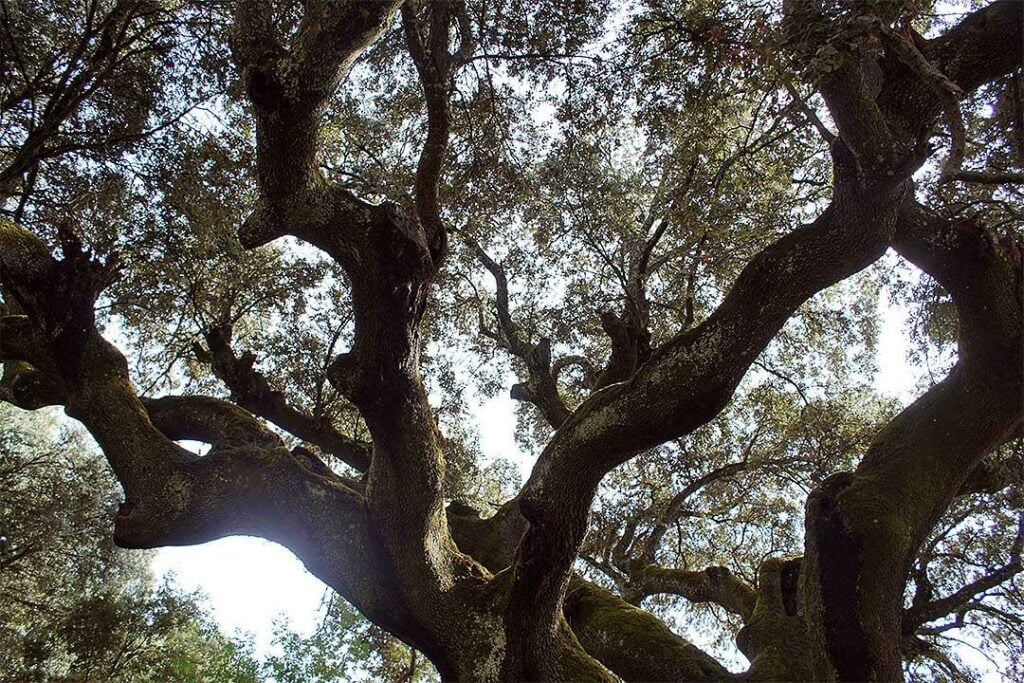 parque natural galicia