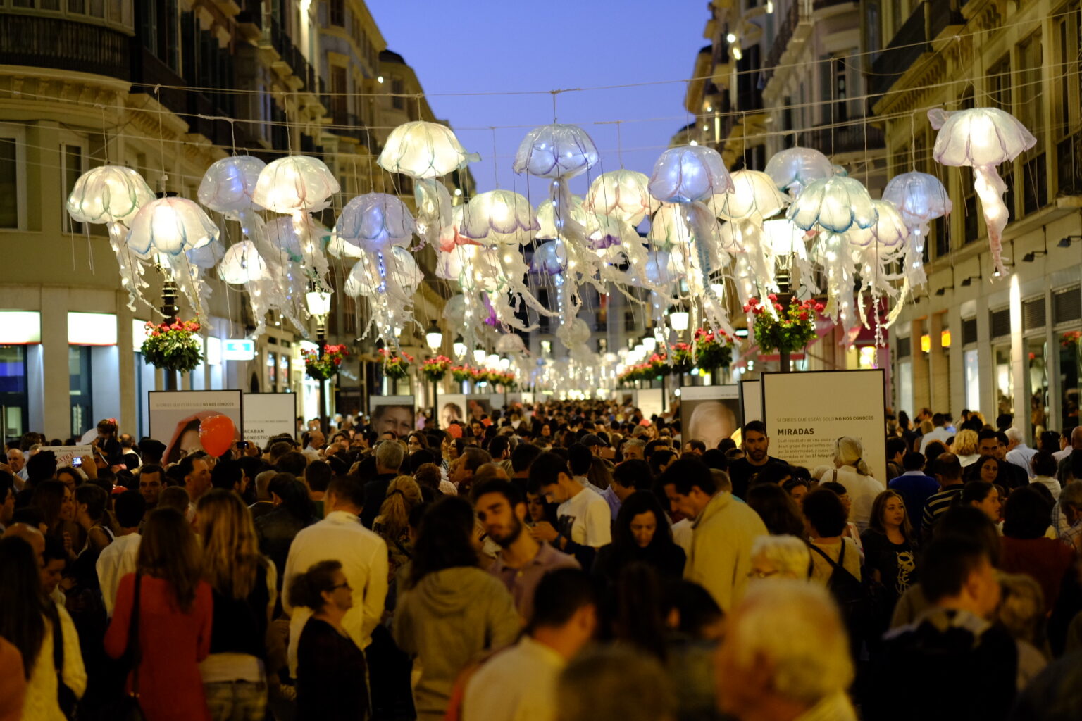 La Noche en Blanco de Málaga 2024 todo lo que sabemos La Guía GO!