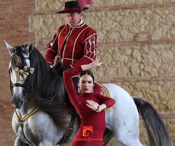 cordoba ecuestre pasion y duende del caballo andaluz