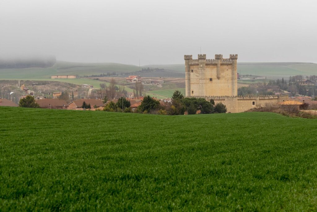 Castillo de Fuensaldana 2