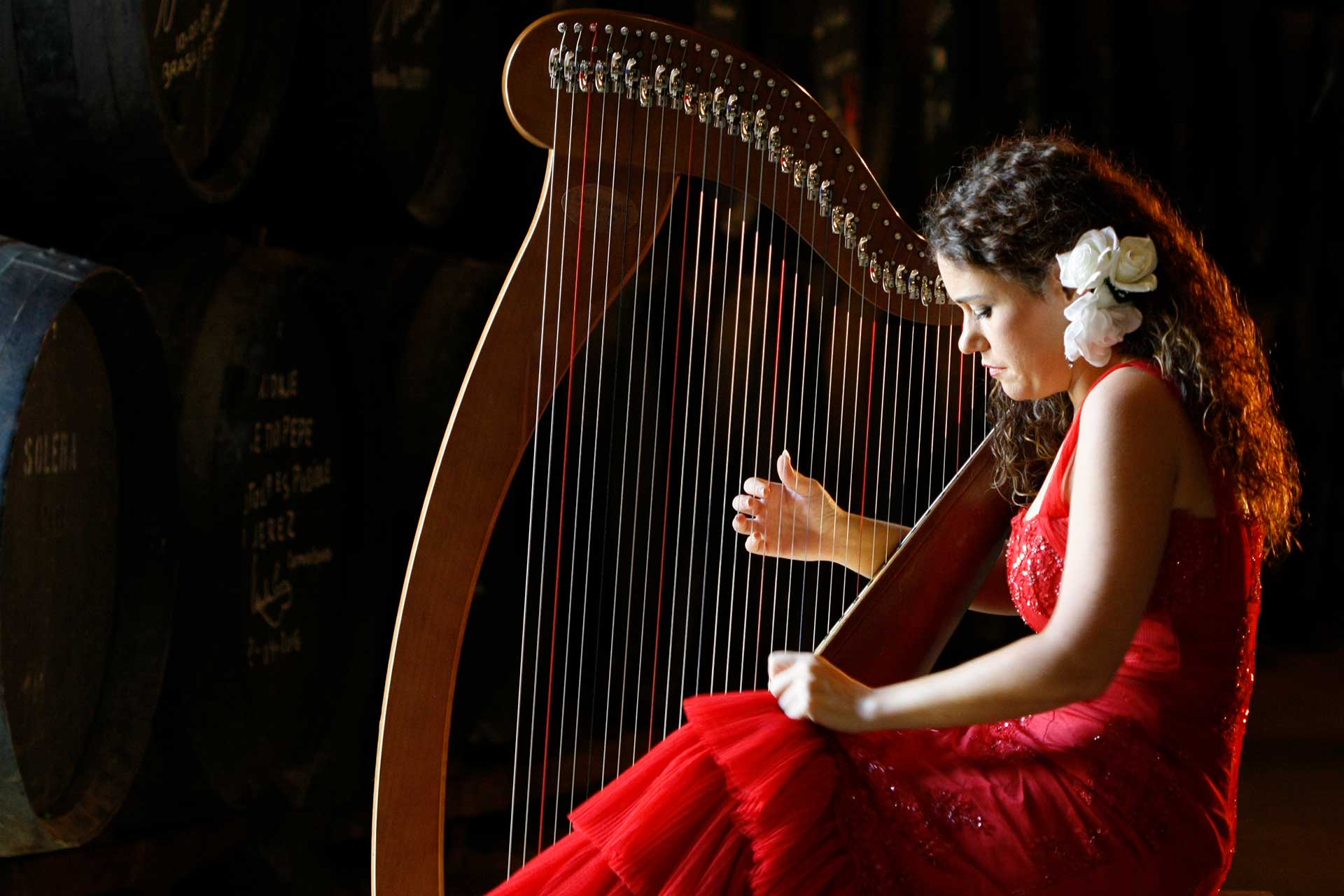 Ana Crismán latidos flamencos